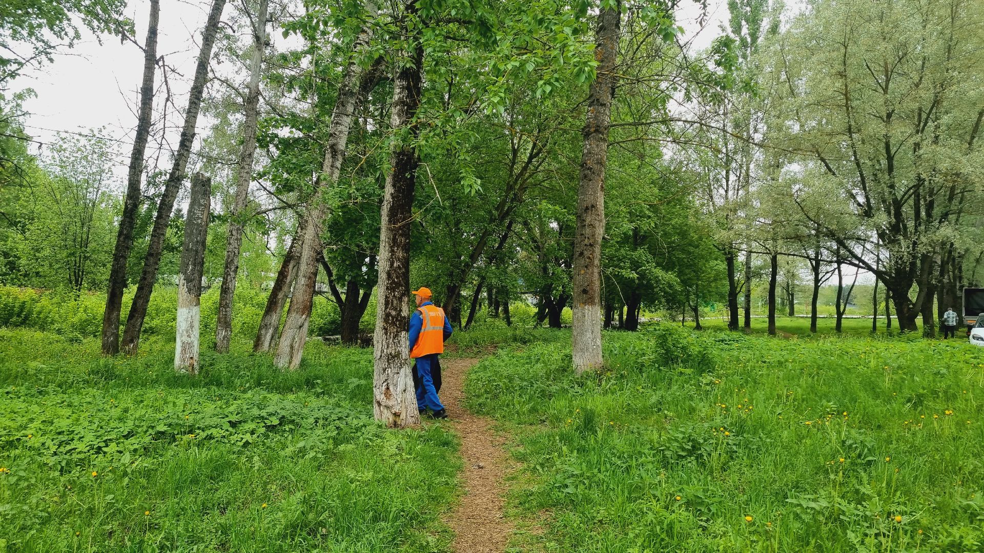 Подмосковье, Ивантеевка, жкх, благоустройство