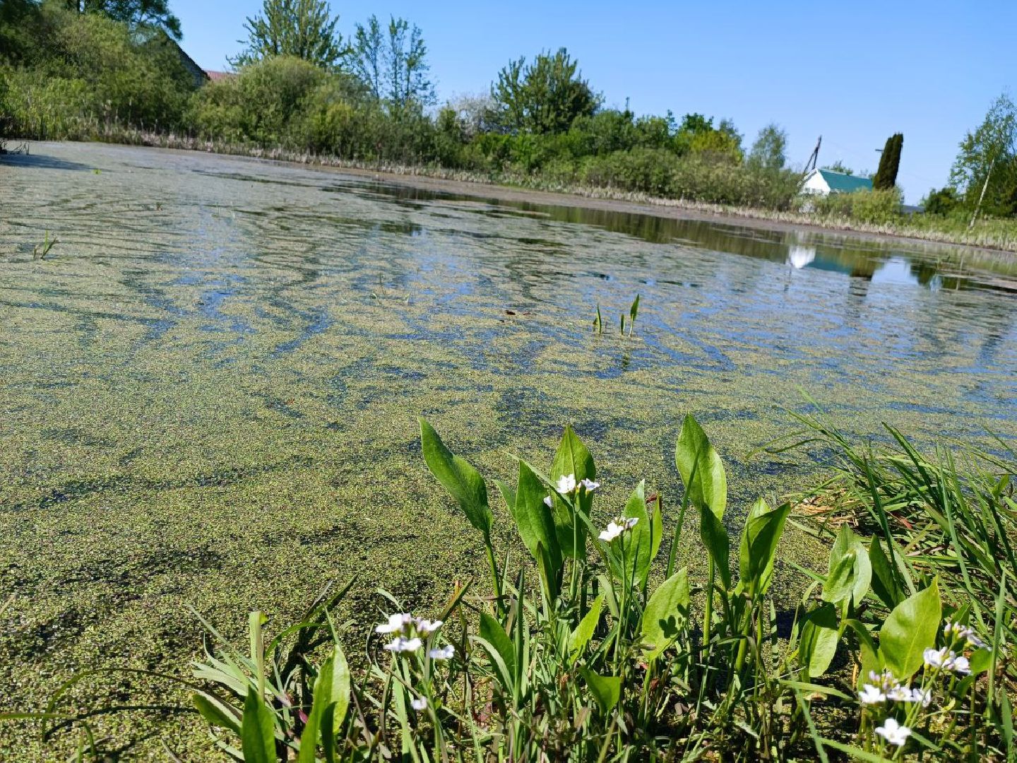 Можайск, Можайский городской округ, Подмосковье, губернаторская программа, 100 прудов и озёр, Добродел