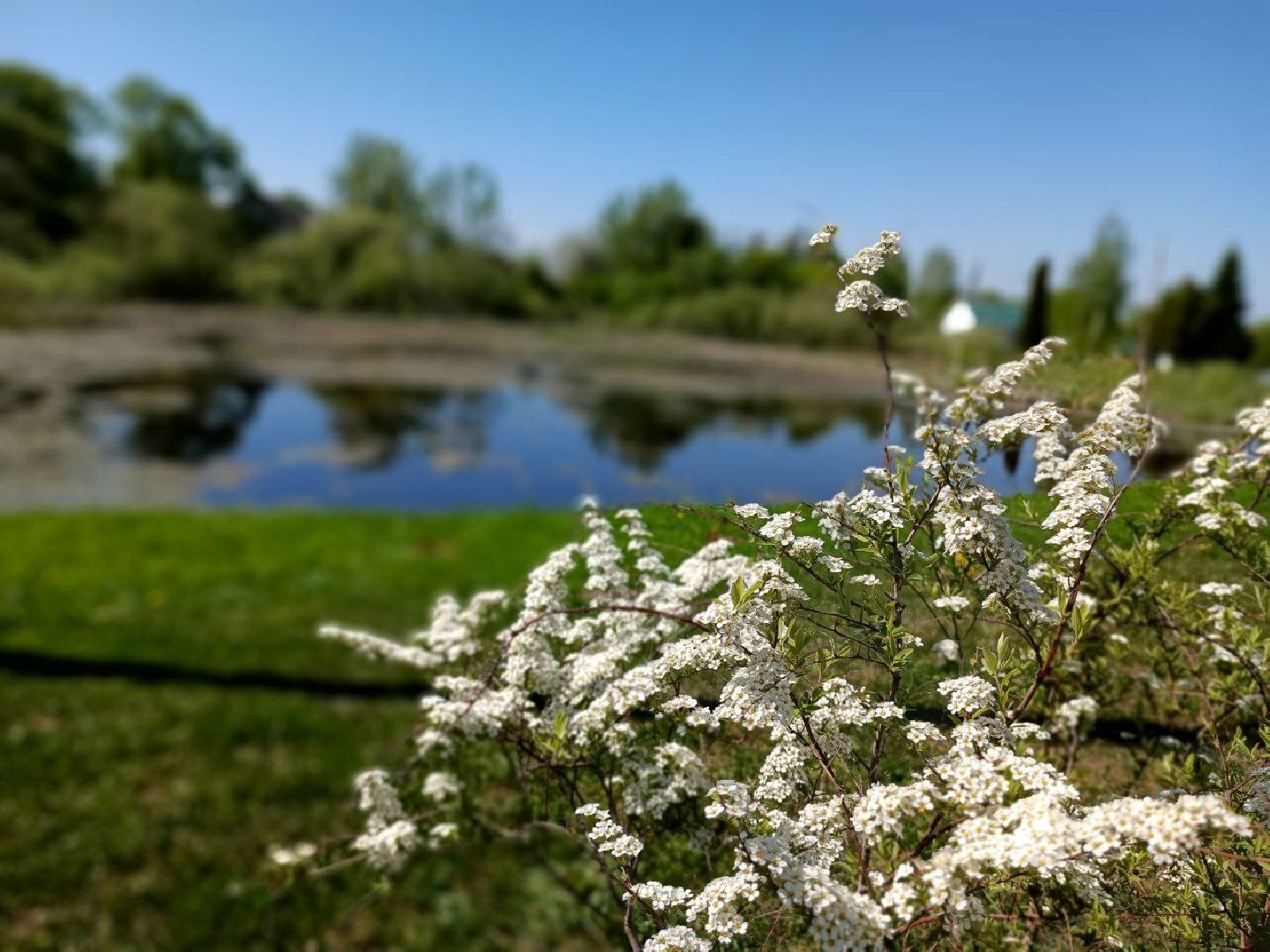 Можайск, Можайский городской округ, Подмосковье, губернаторская программа, 100 прудов и озёр, Добродел