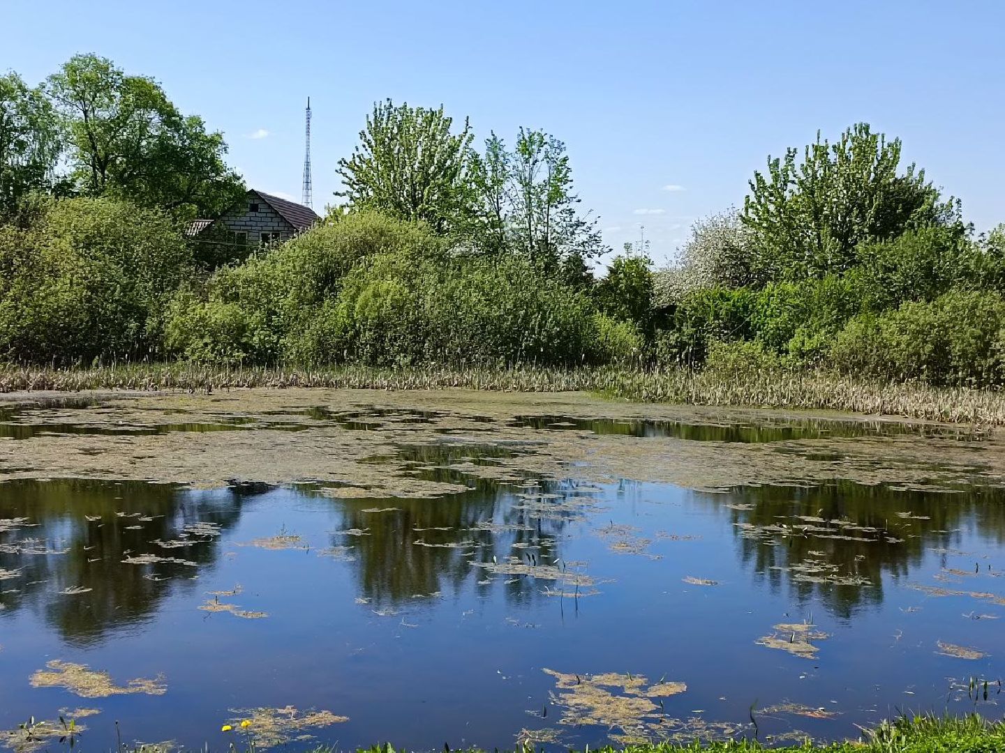 Можайск, Можайский городской округ, Подмосковье, губернаторская программа, 100 прудов и озёр, Добродел