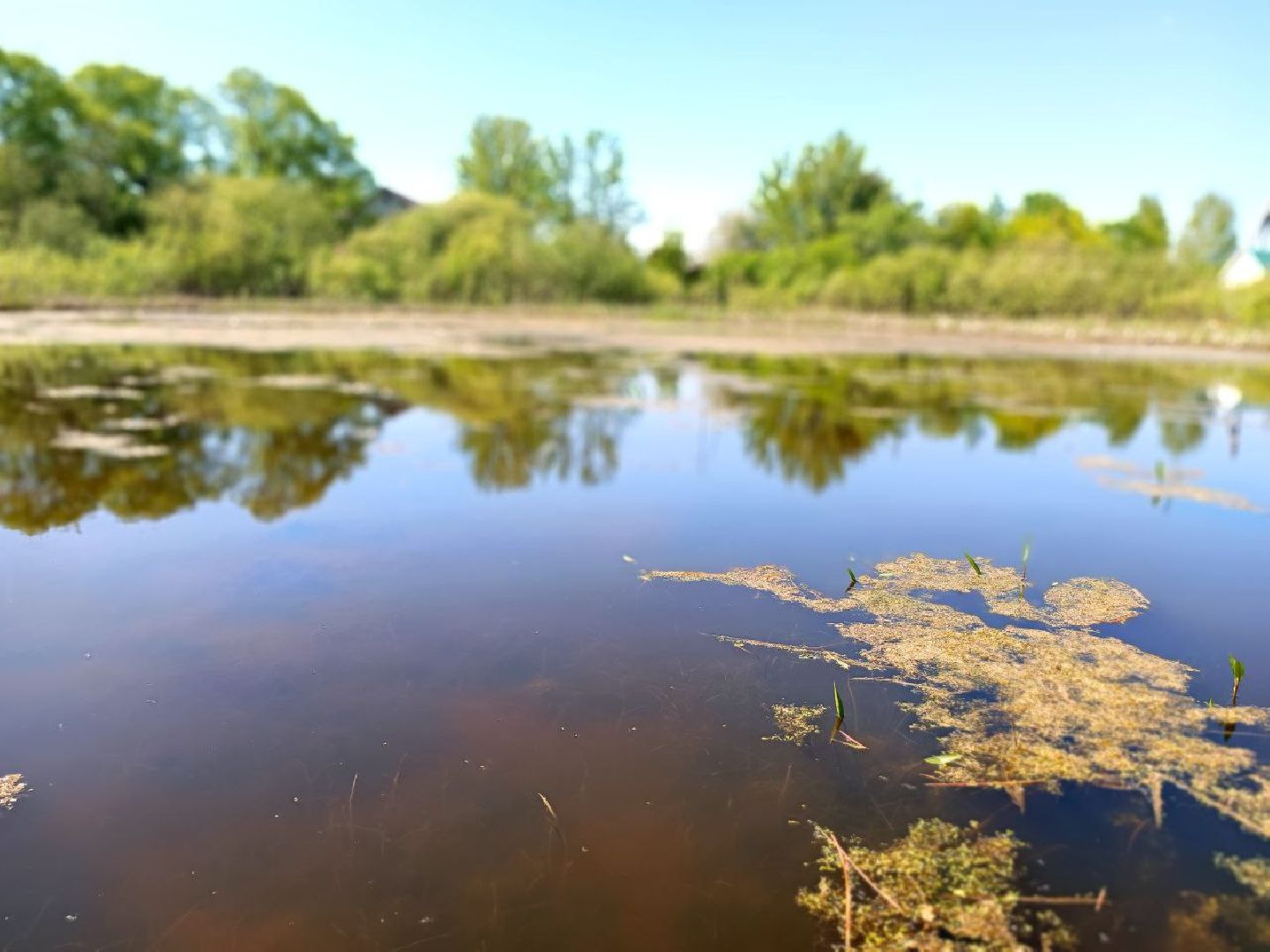 Можайск, Можайский городской округ, Подмосковье, губернаторская программа, 100 прудов и озёр, Добродел