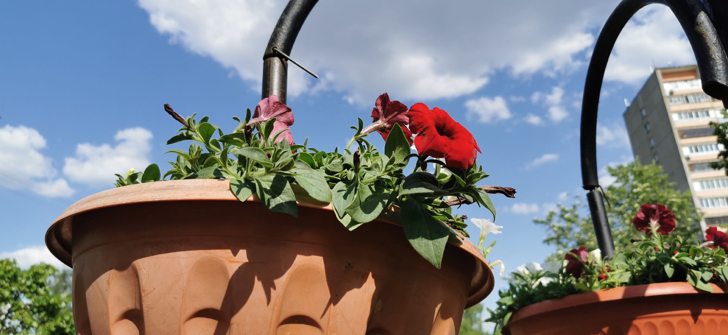 озеленение, благоустройство,