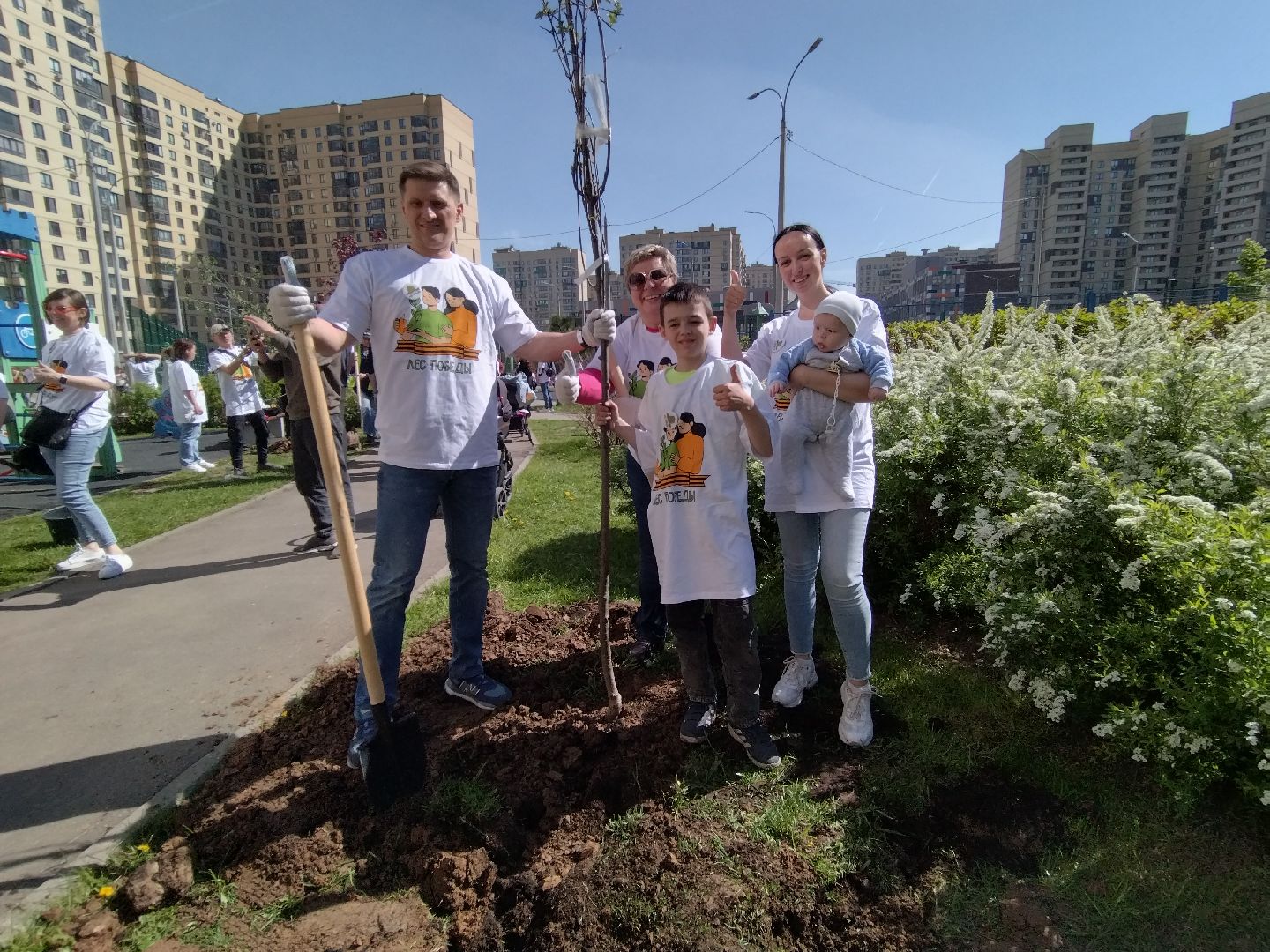 лес победы, экология, Мытищи