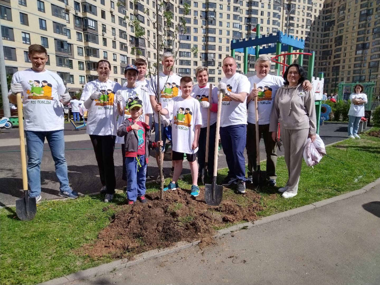 лес победы, экология, Мытищи