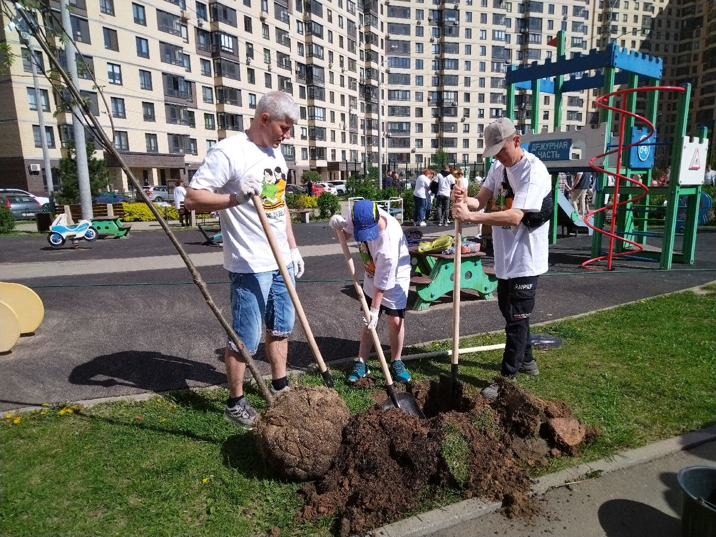 лес победы, экология, Мытищи