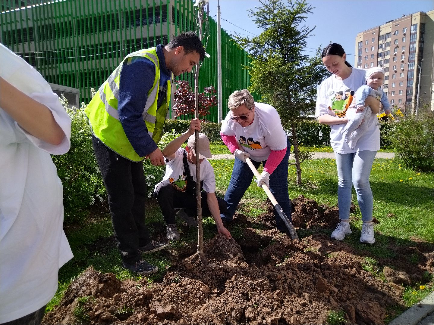 лес победы, экология, Мытищи