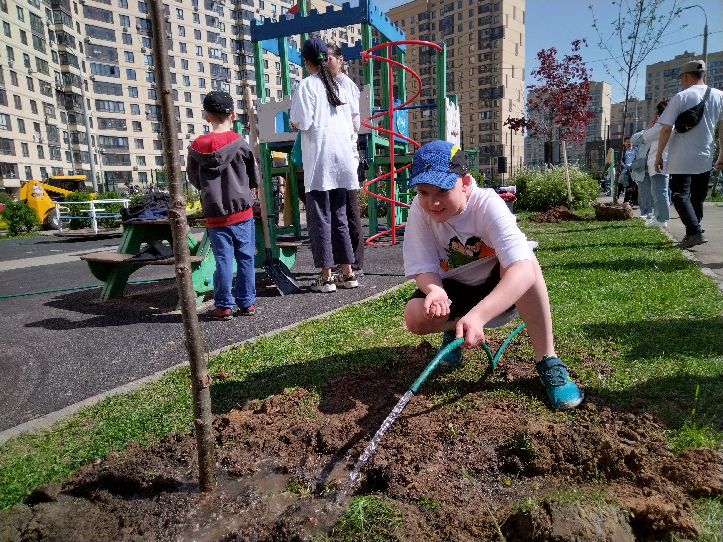 лес победы, экология, Мытищи