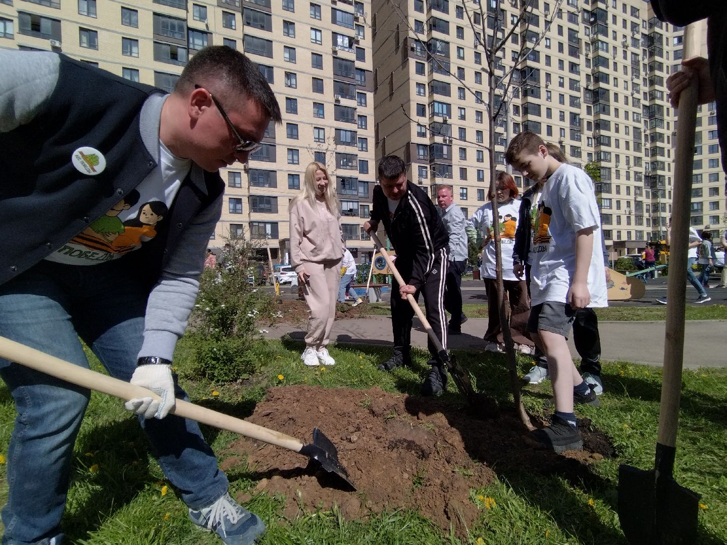 Лес победы, Мытищи, Экология