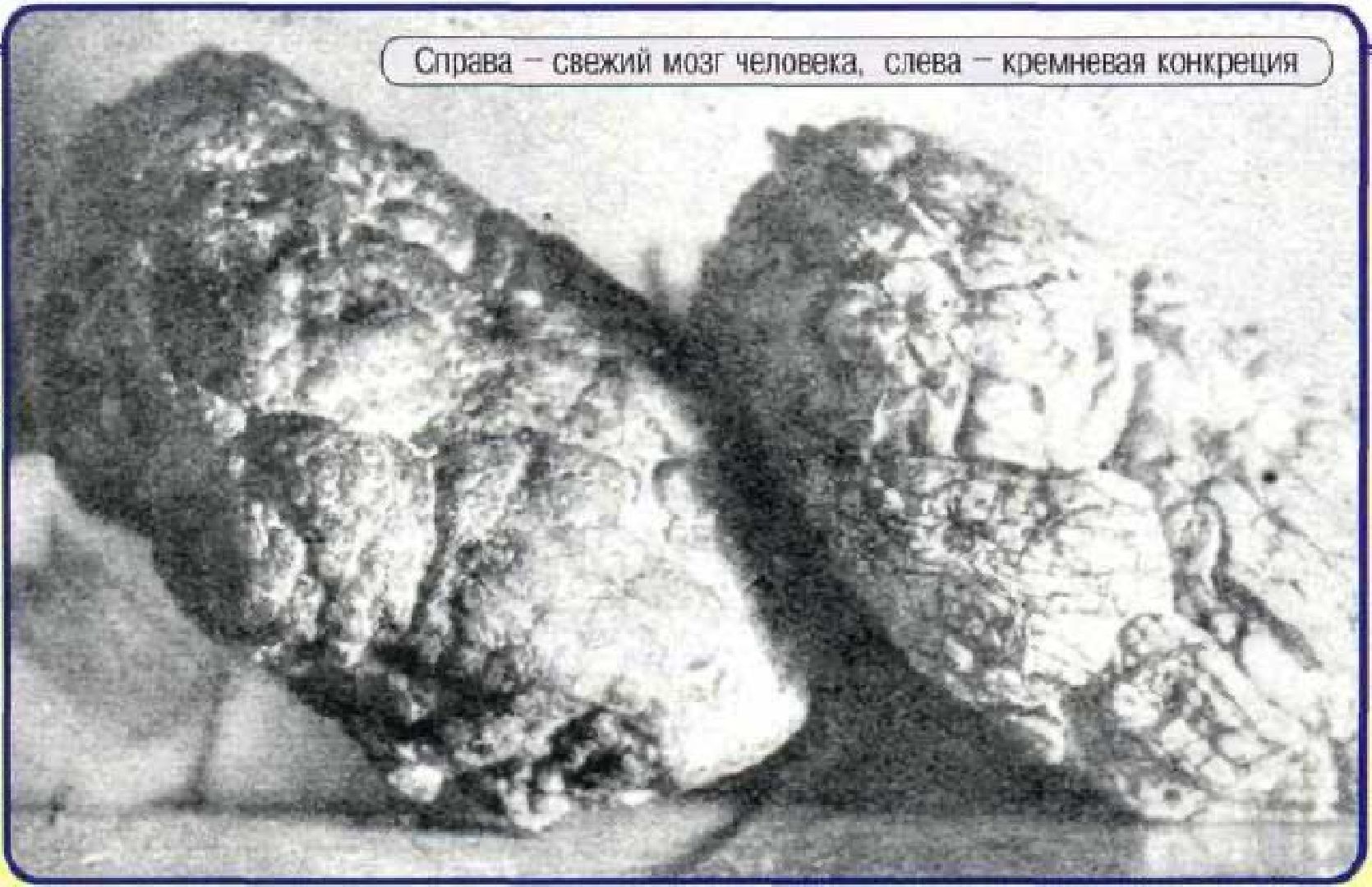 Одинцово, история, благоустройство, площадь, проектирование, искусство,