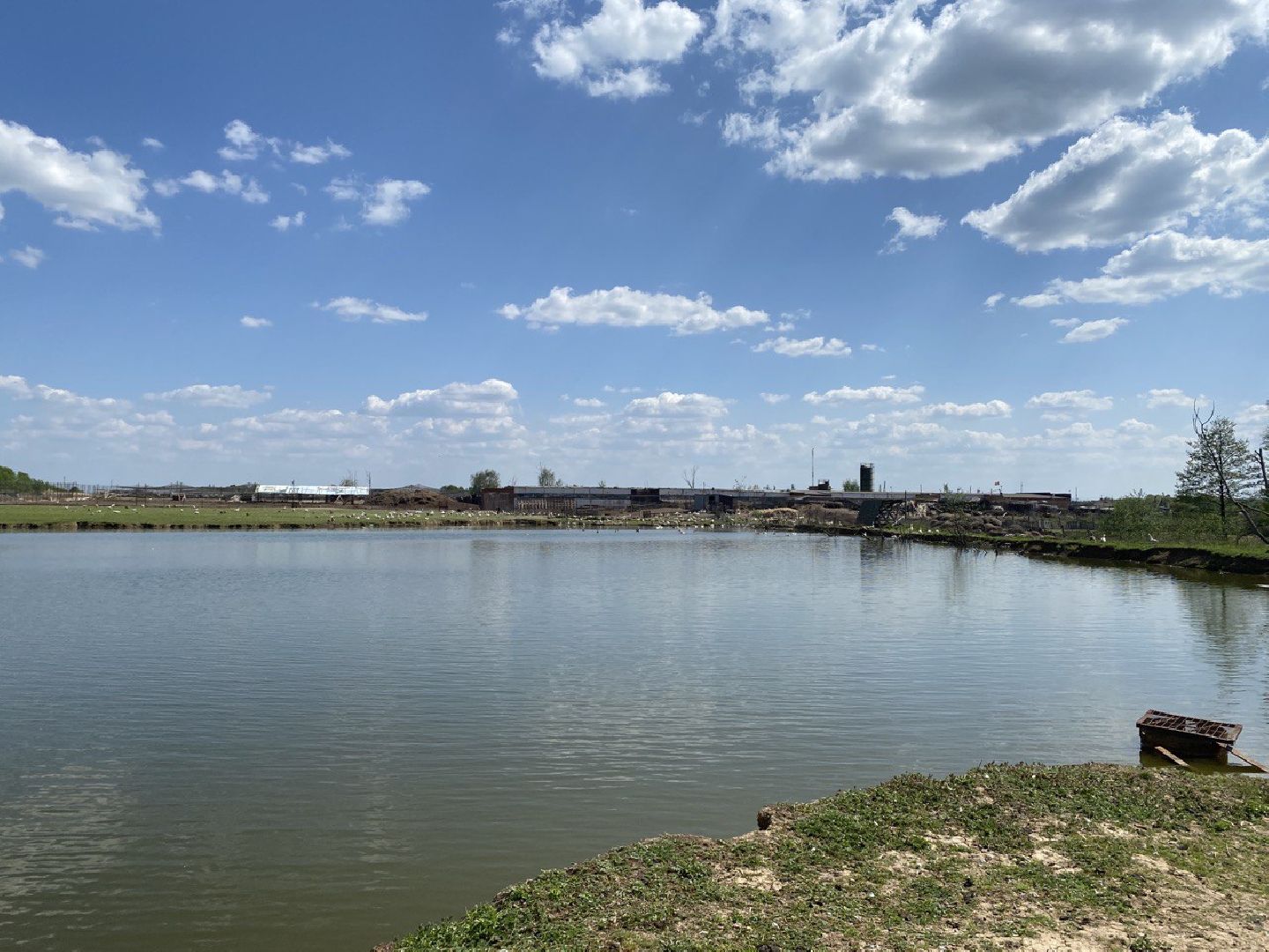 Чехов, КФХ, ферма, эксперимент, ежевика