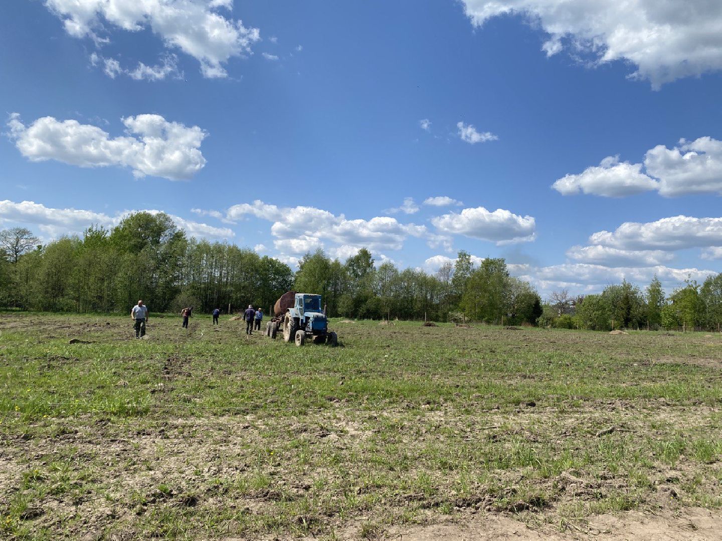 Чехов, КФХ, ферма, эксперимент, ежевика