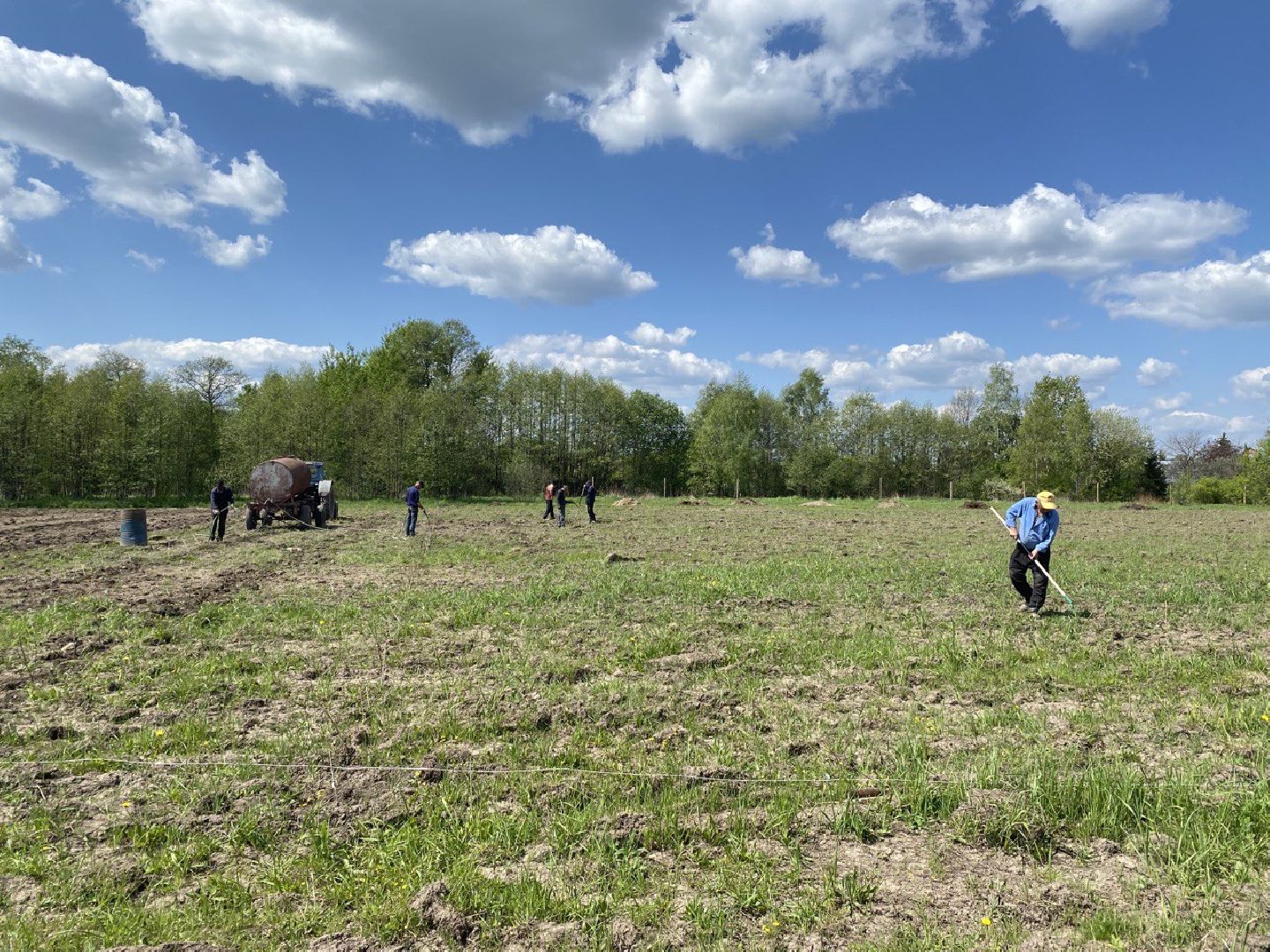 Чехов, КФХ, ферма, эксперимент, ежевика