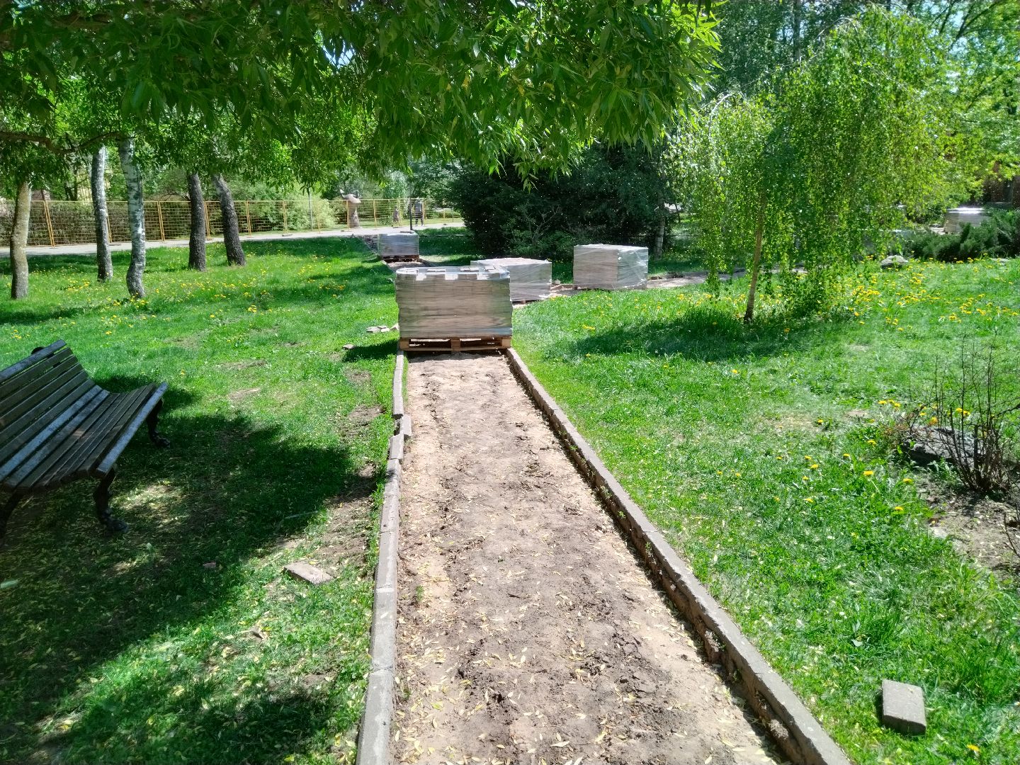 Парк Мира, Мытищи, ЦПКиО, Реконструкция