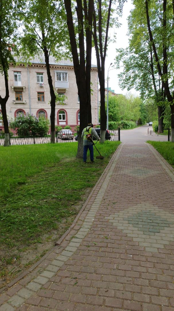 благоустройство; сквер; сезон; покос; видное