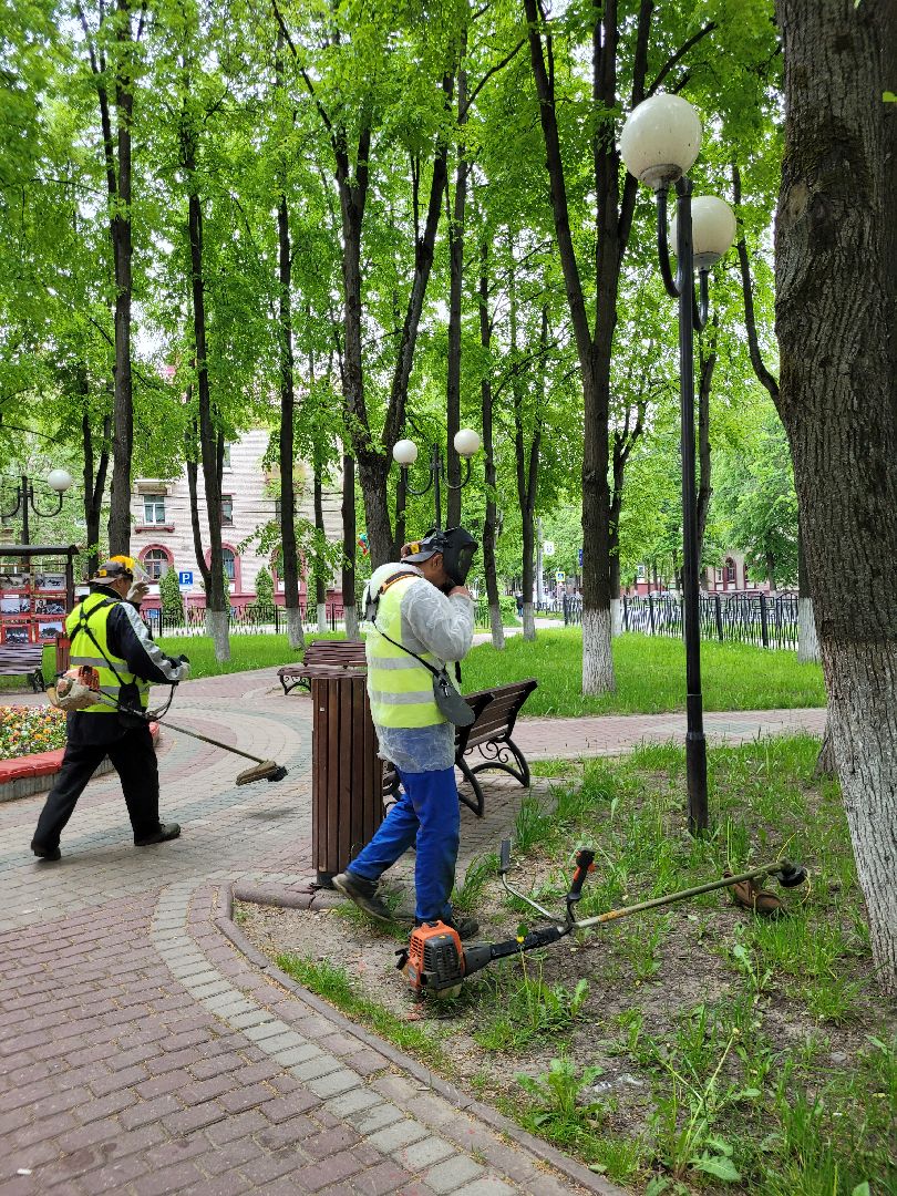 благоустройство; сквер; сезон; покос; видное