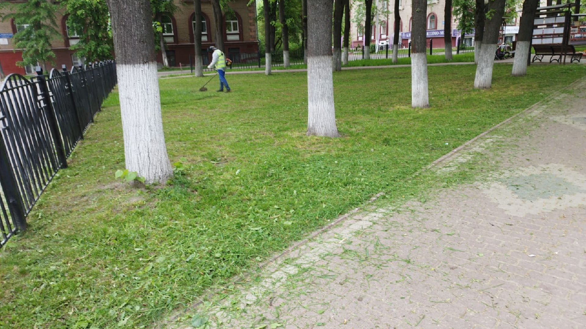 благоустройство; сквер; сезон; покос; видное