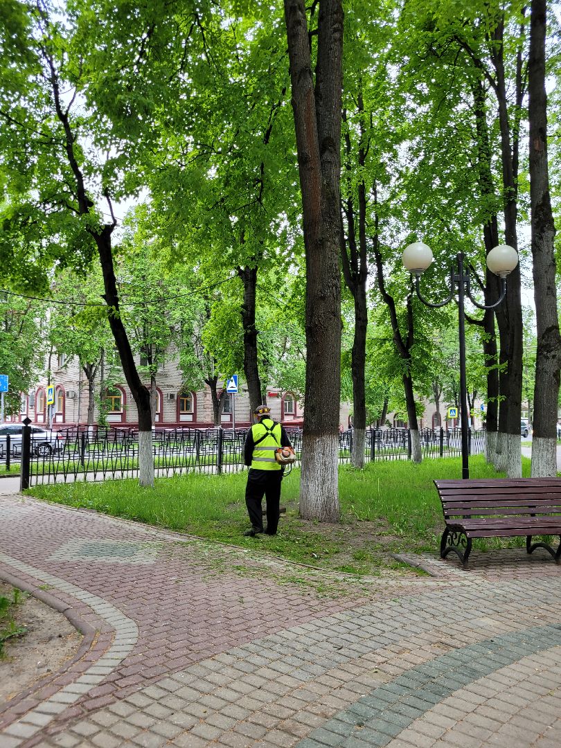 благоустройство; сквер; сезон; покос; видное