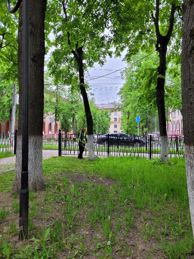 благоустройство; сквер; сезон; покос; видное