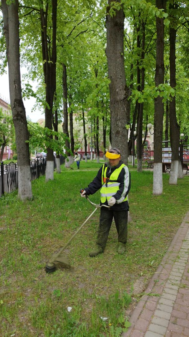 благоустройство; сквер; сезон; покос; видное