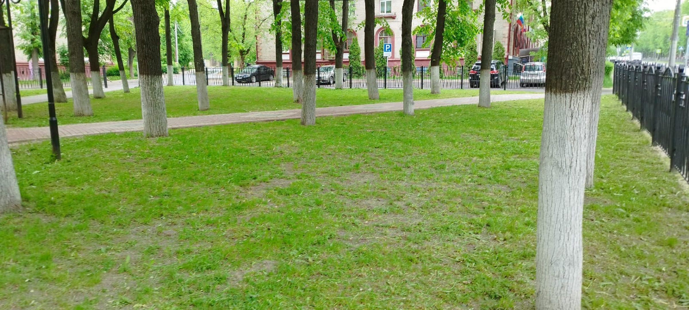 благоустройство; сквер; сезон; покос; видное