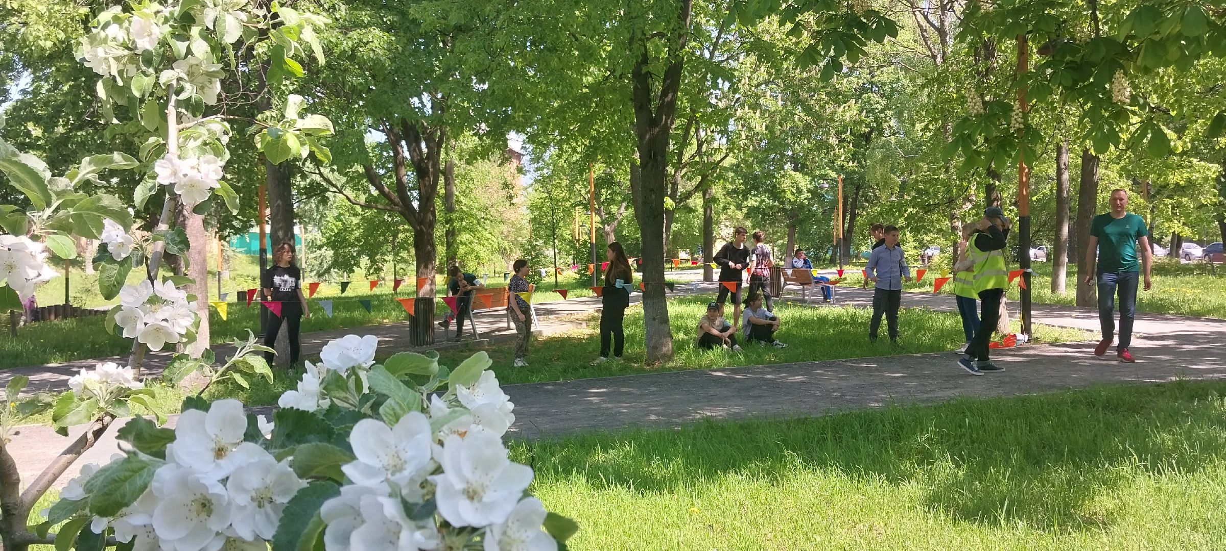 коломна, коломна спорт, спортивное ориентирование