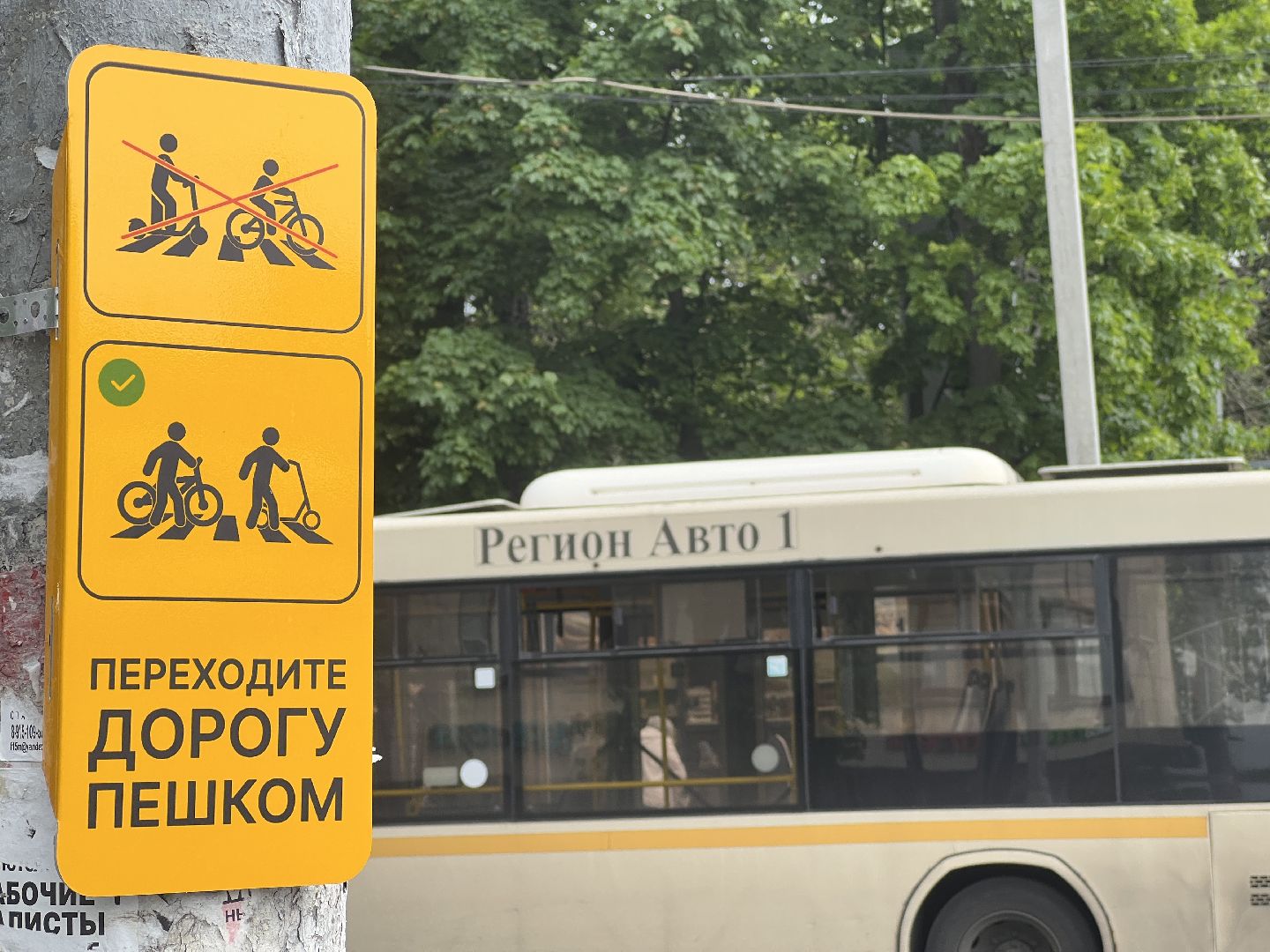 Химки, транспорт, дорожные знаки, велосипедисты, безопасность на дороге, пешеходный переход