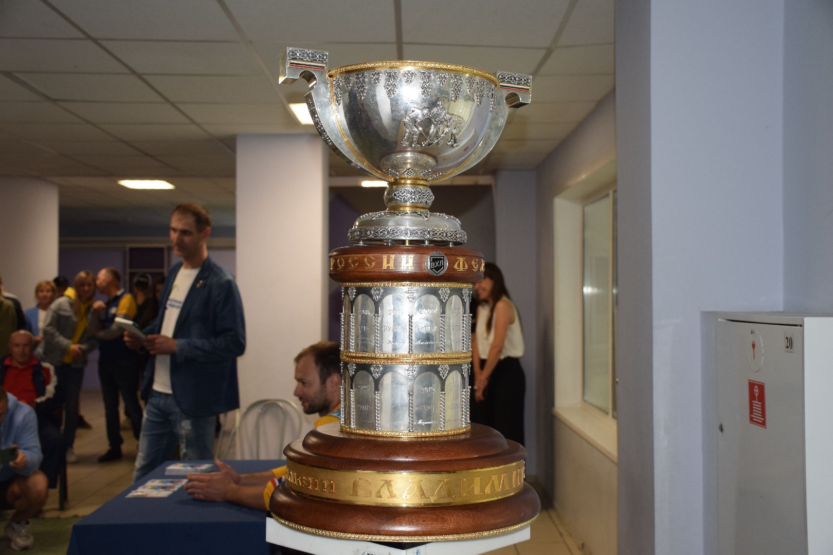 Павловский Посад, городской округ Павловский Посад, хоккей, кубок, дети, чемпион