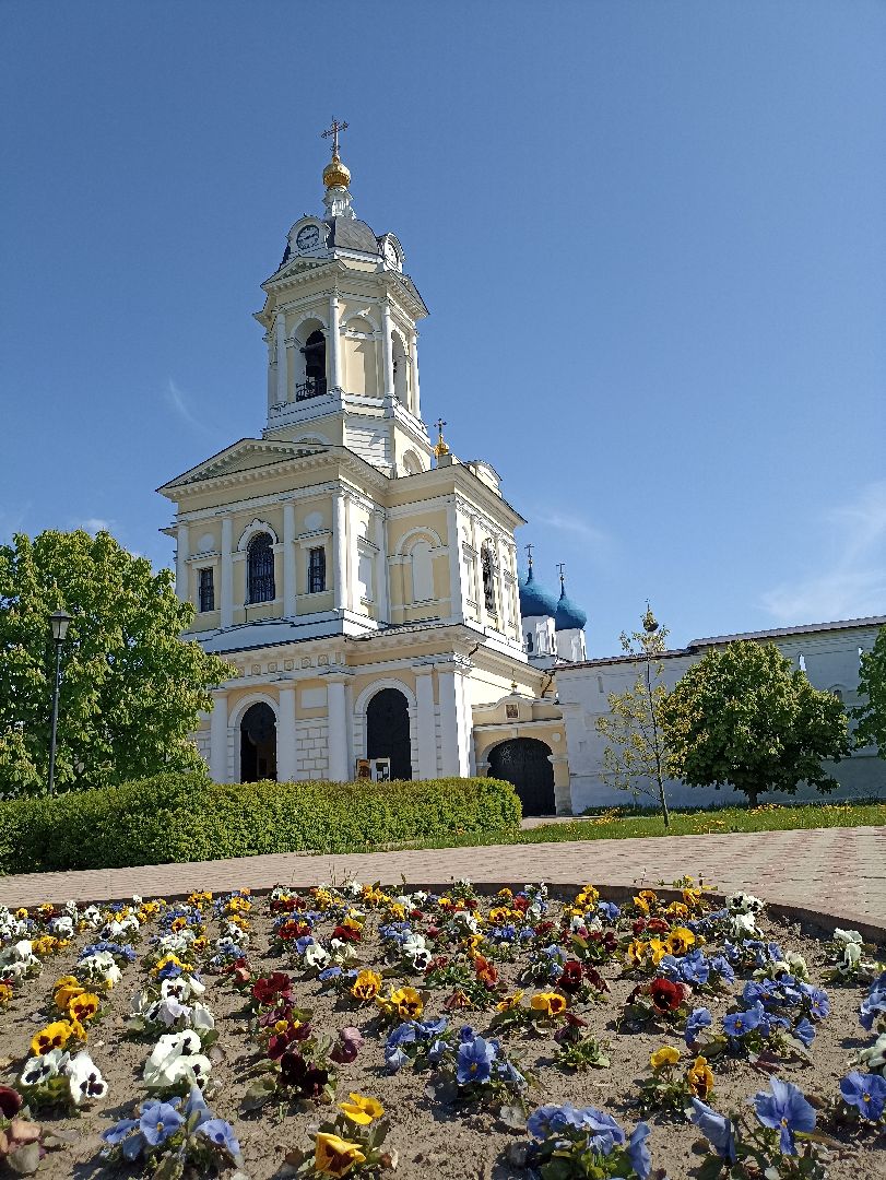 Серпухов, Подмосковья, монастырь, туризм, виолы, природа
