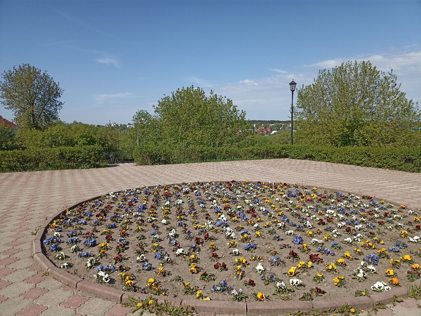 Серпухов, Подмосковья, монастырь, туризм, виолы, природа