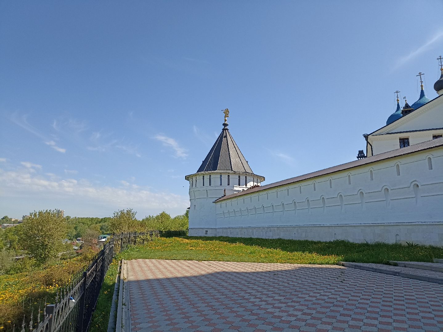 Серпухов, Подмосковья, монастырь, туризм, виолы, природа