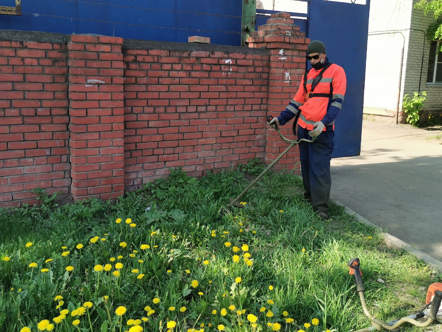 Подольск, трава