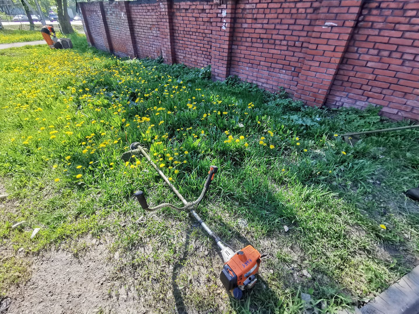 Подольск, трава