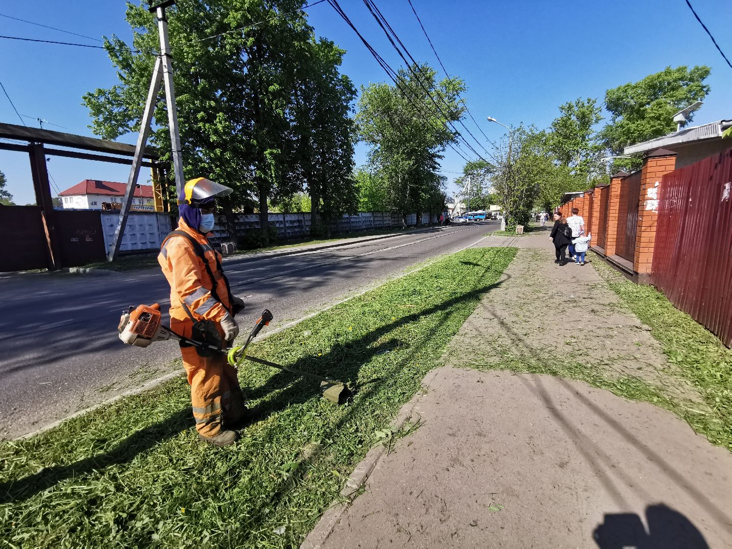 Подольск, трава