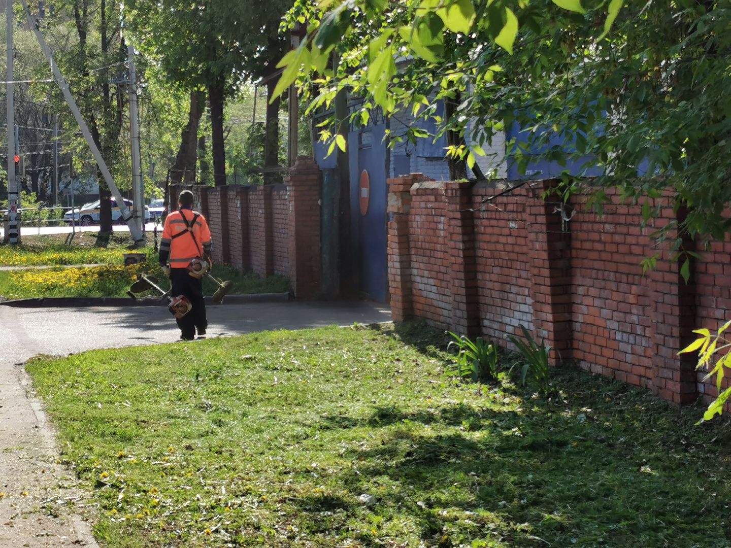 Подольск, трава