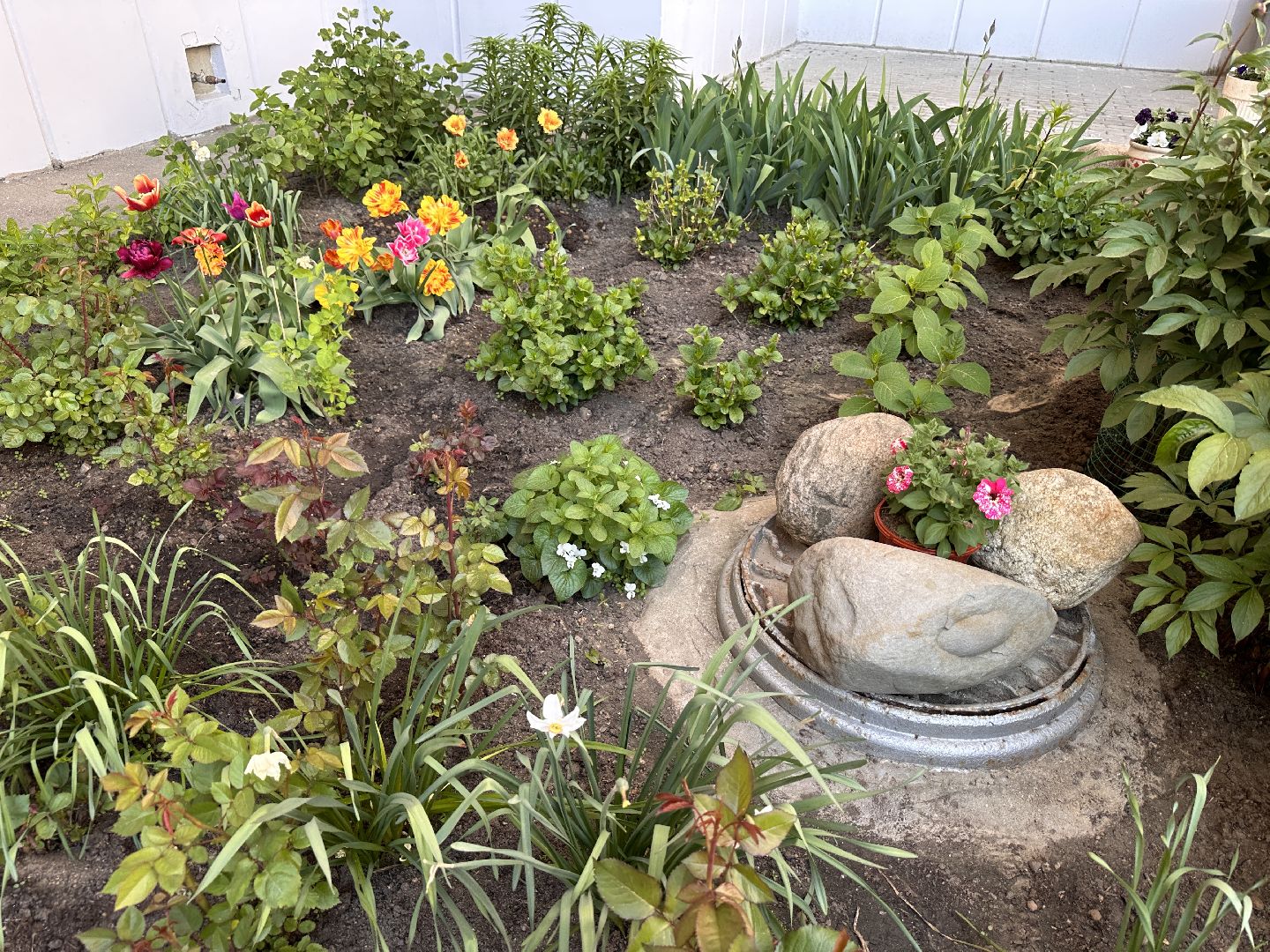 Одинцово, Благоустройство, Озеленение