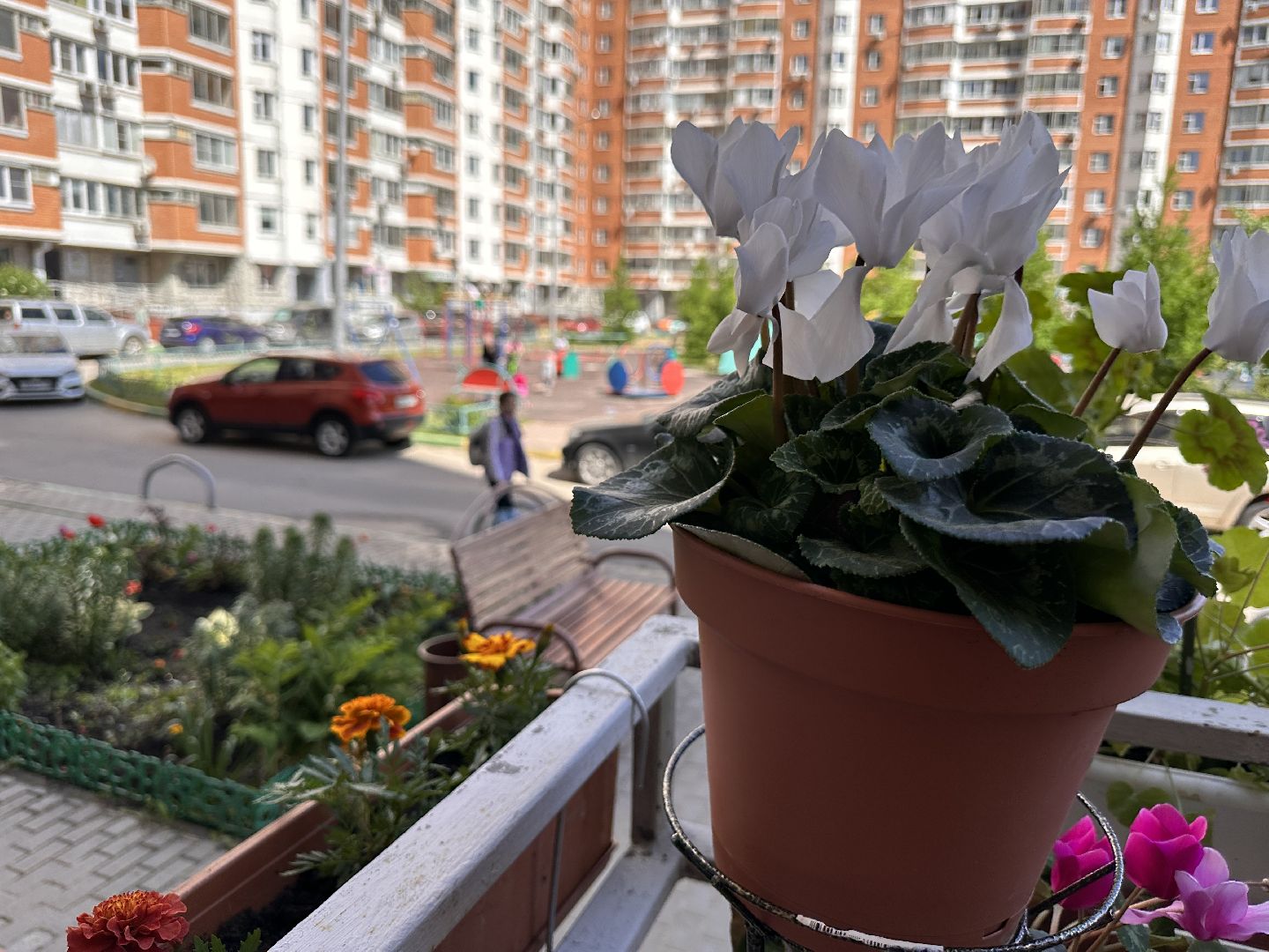 Одинцово, Благоустройство, Озеленение