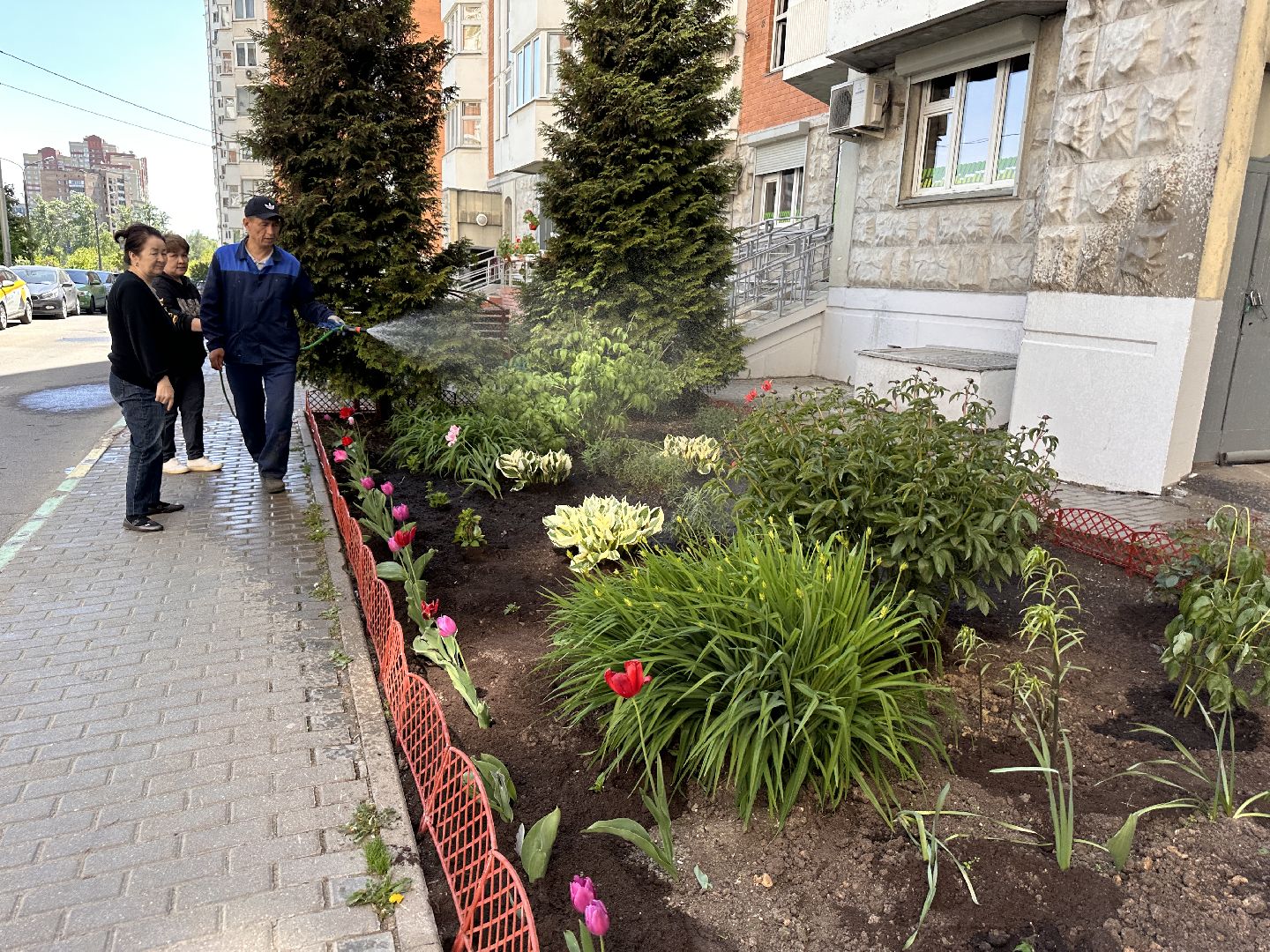 Одинцово, Благоустройство, Озеленение