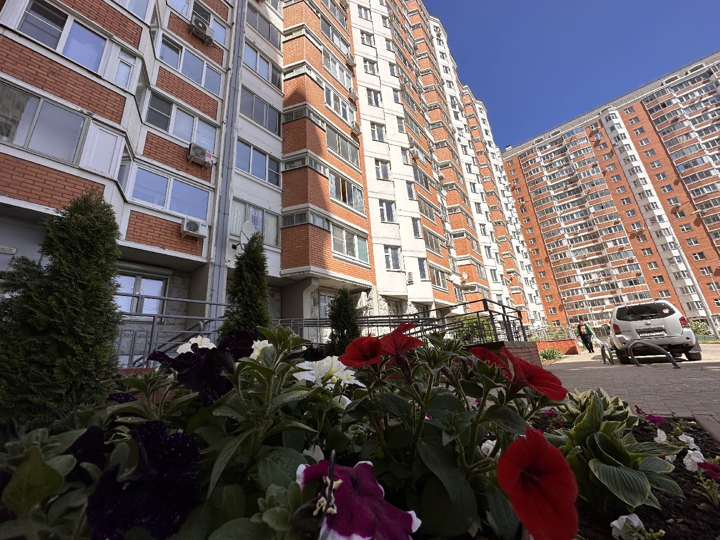 Одинцово, Благоустройство, Озеленение