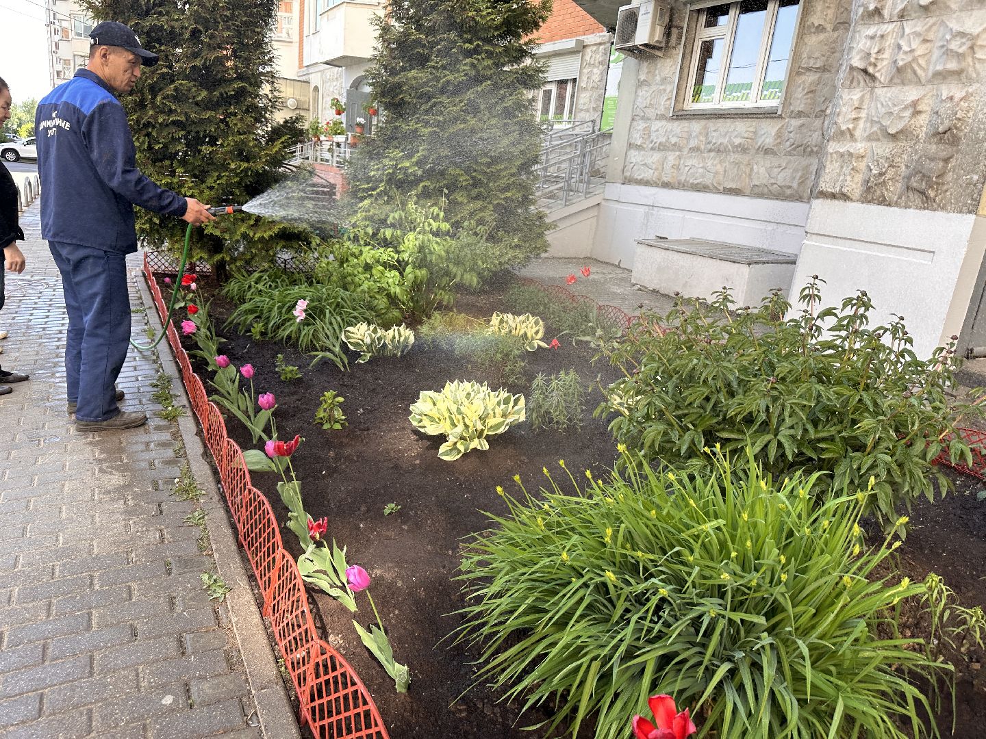 Одинцово, Благоустройство, Озеленение