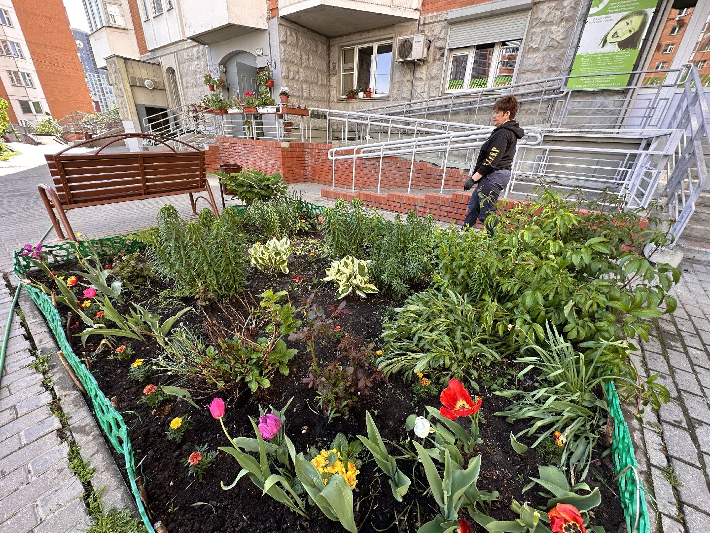 Одинцово, Благоустройство, Озеленение