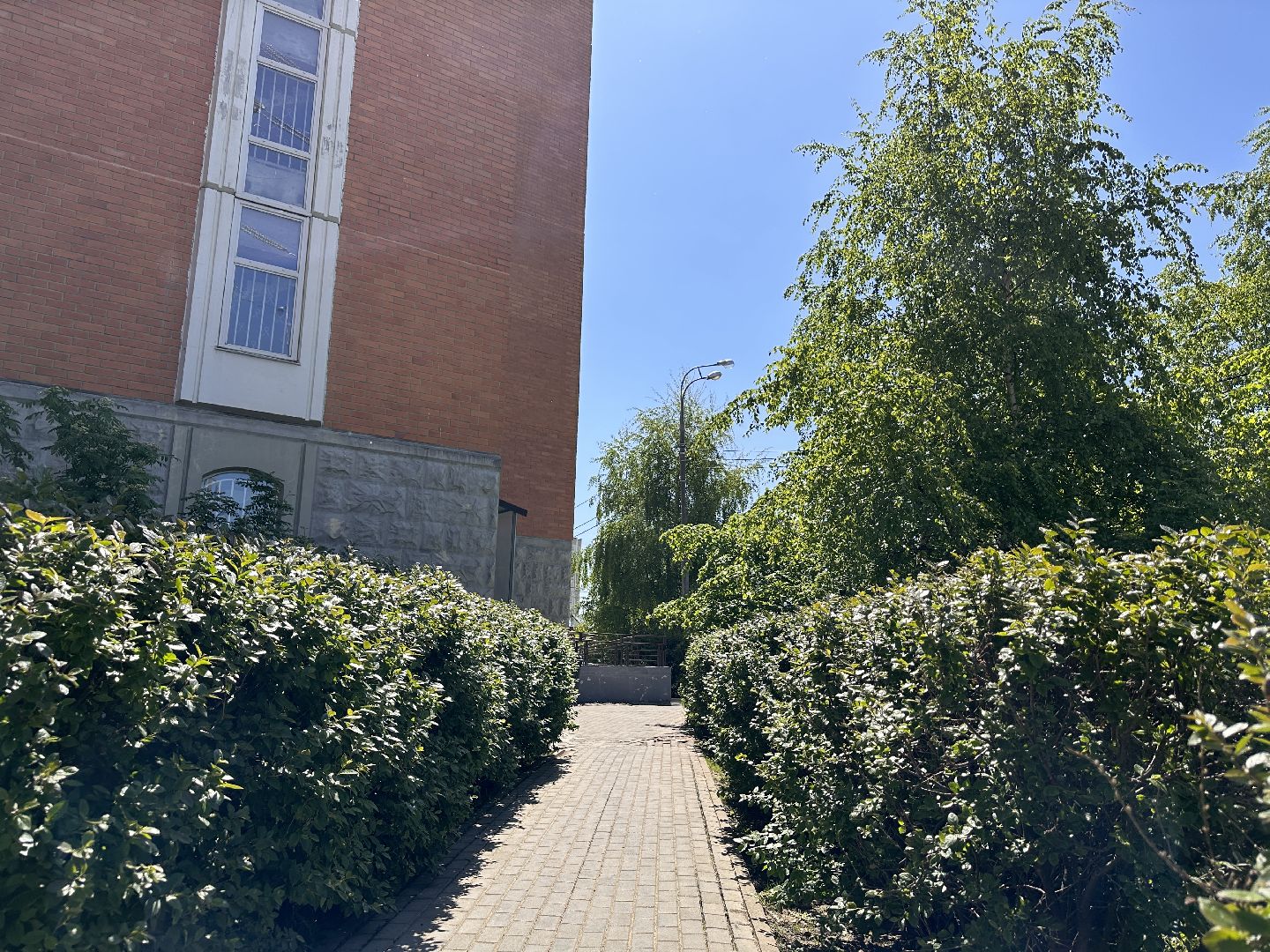 Одинцово, Благоустройство, Озеленение