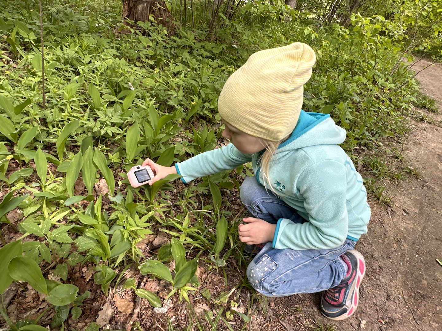 Одинцово, Парки Подмосковья, Ландыши, Экология