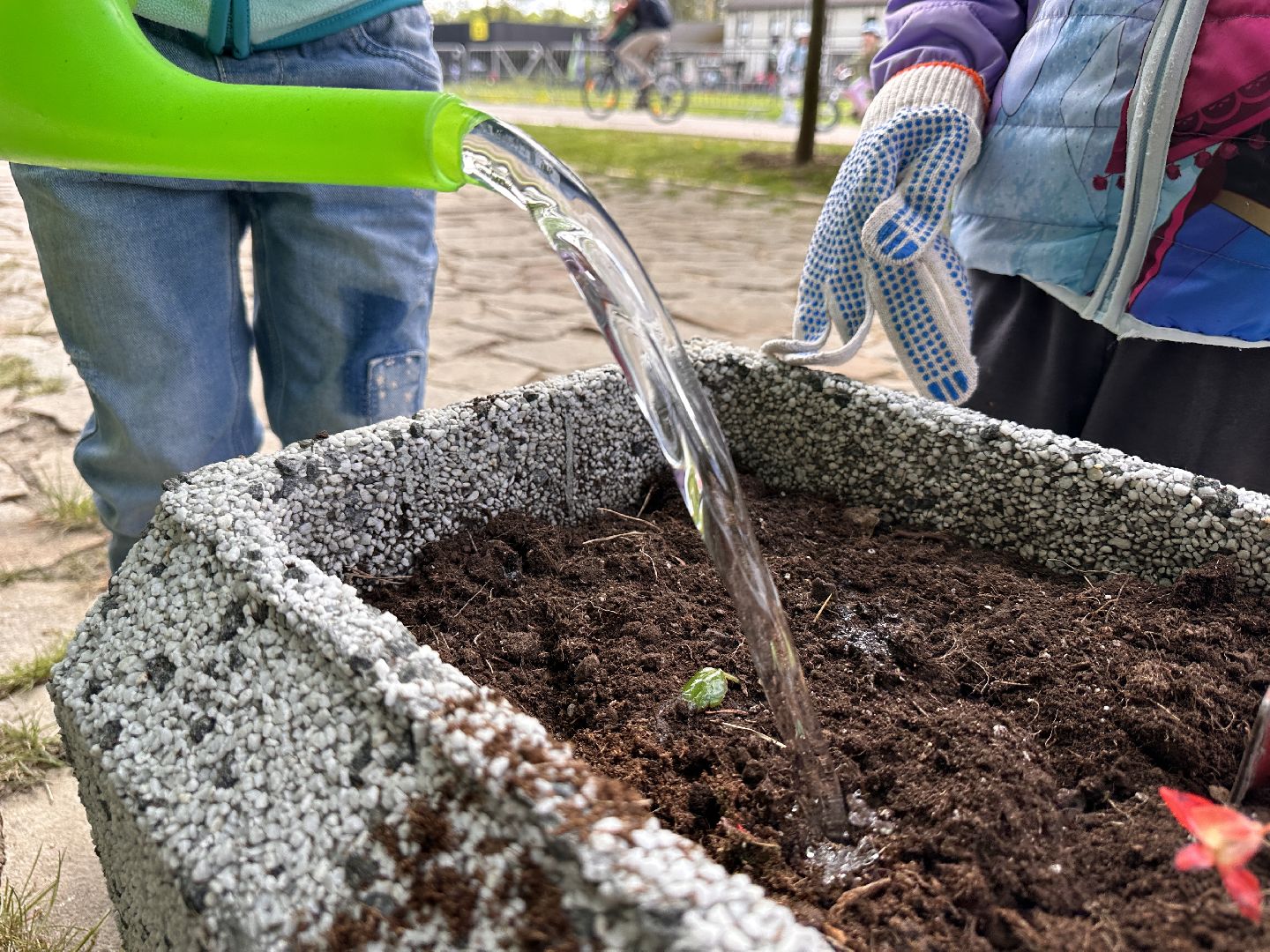 Одинцово, Парки Подмосковья, Экология