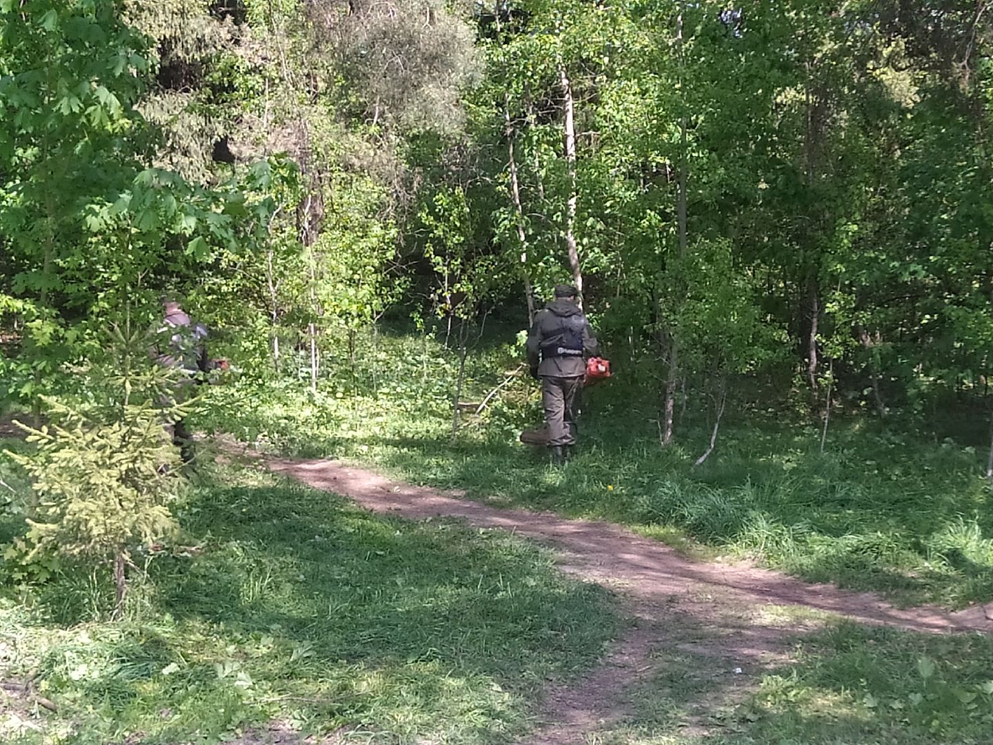 Покос травы, лесопарковая зона, газон, благоустройство