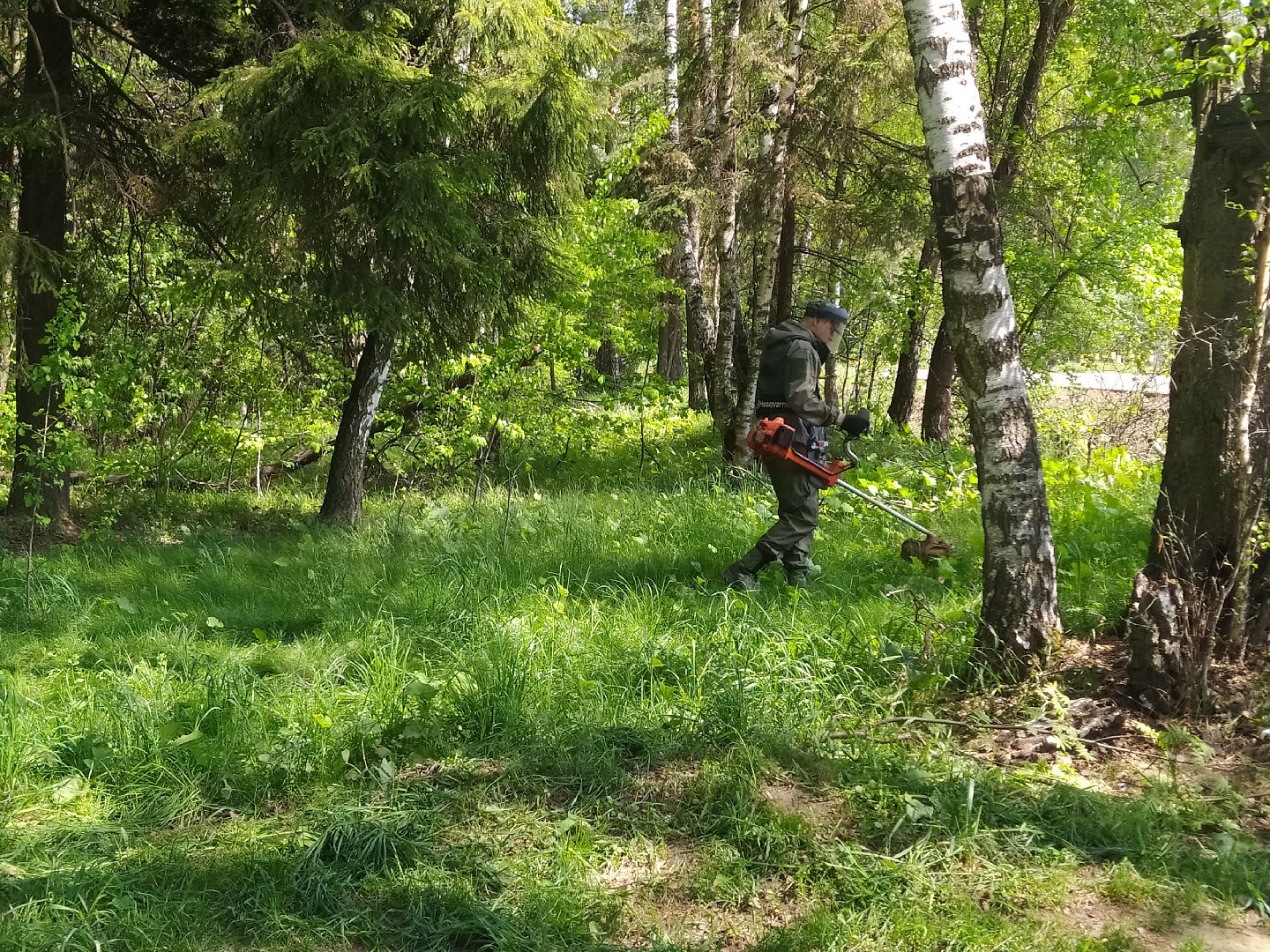 Покос травы, лесопарковая зона, газон, благоустройство