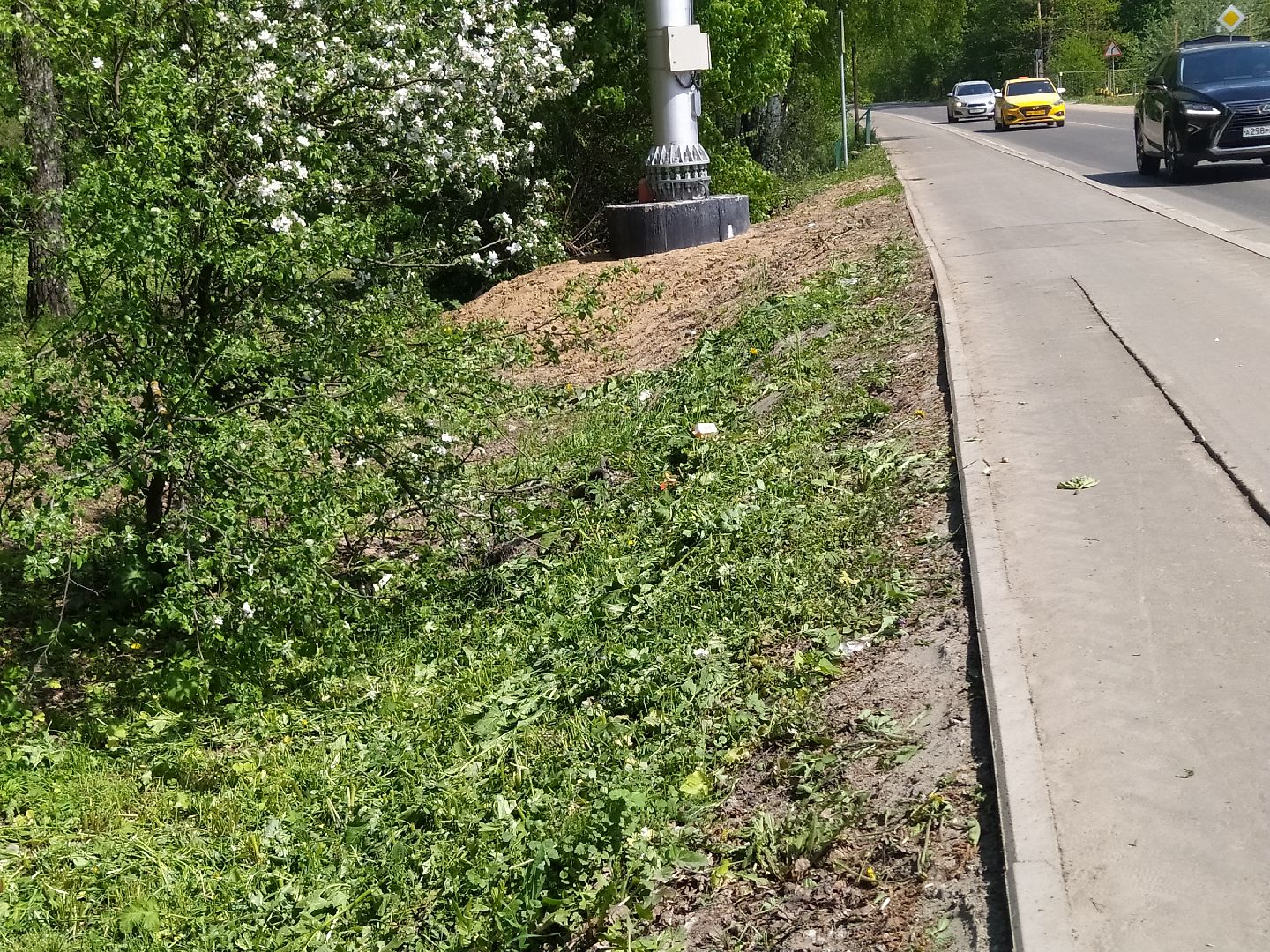 Покос травы, лесопарковая зона, газон, благоустройство