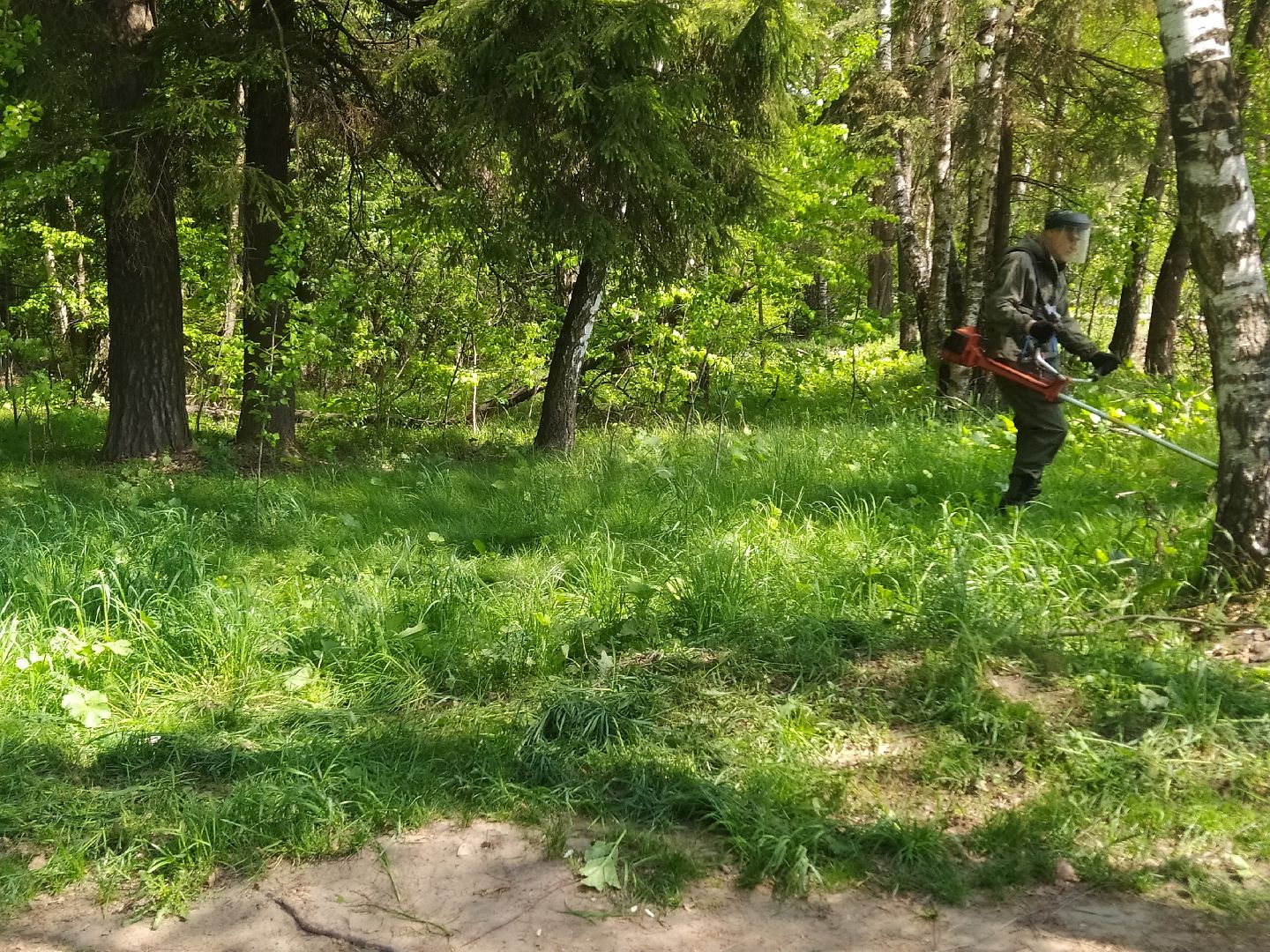 Покос травы, лесопарковая зона, газон, благоустройство