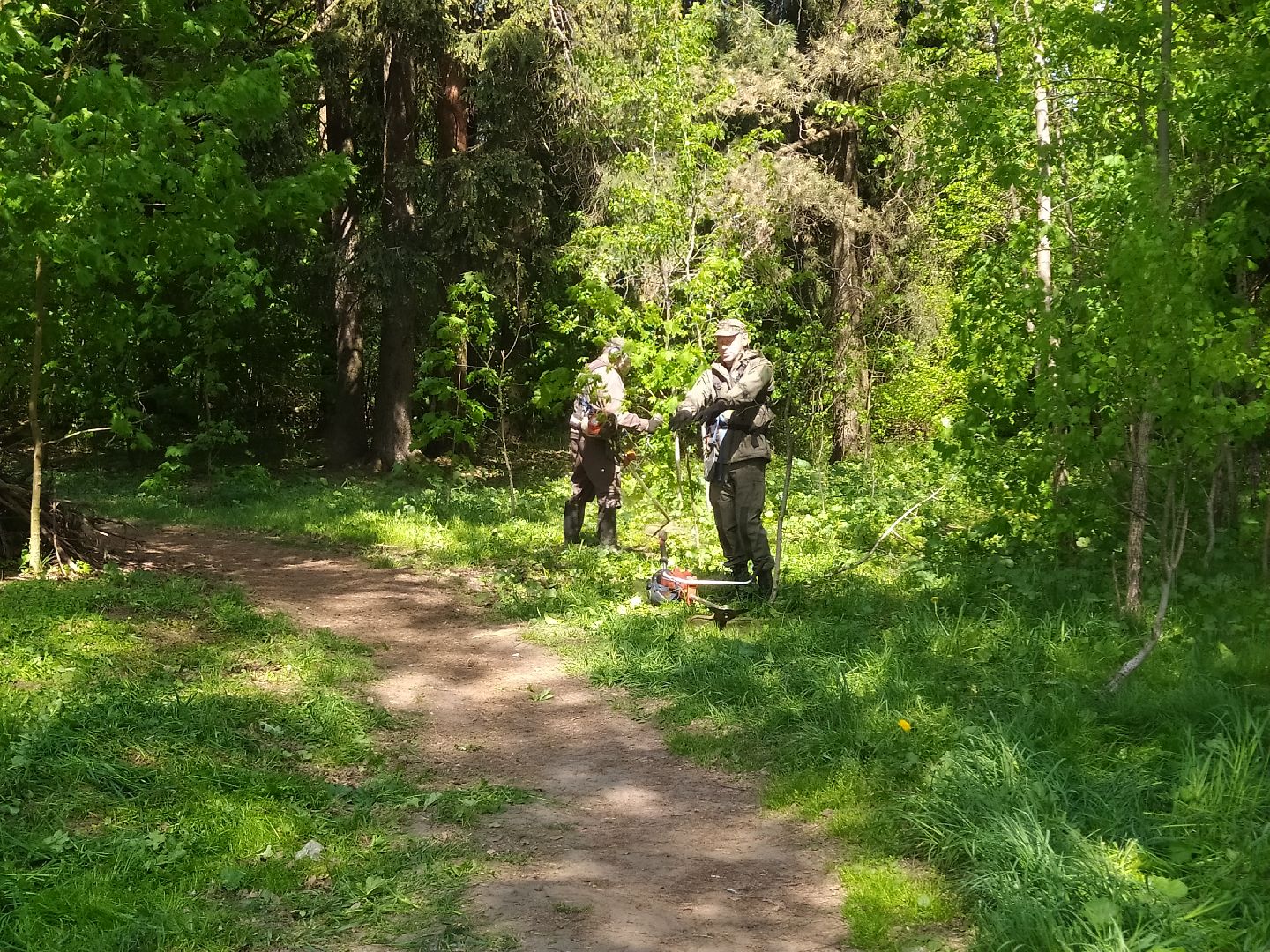 Покос травы, лесопарковая зона, газон, благоустройство