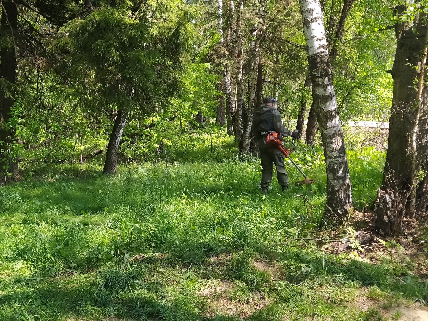 Покос травы, лесопарковая зона, газон, благоустройство