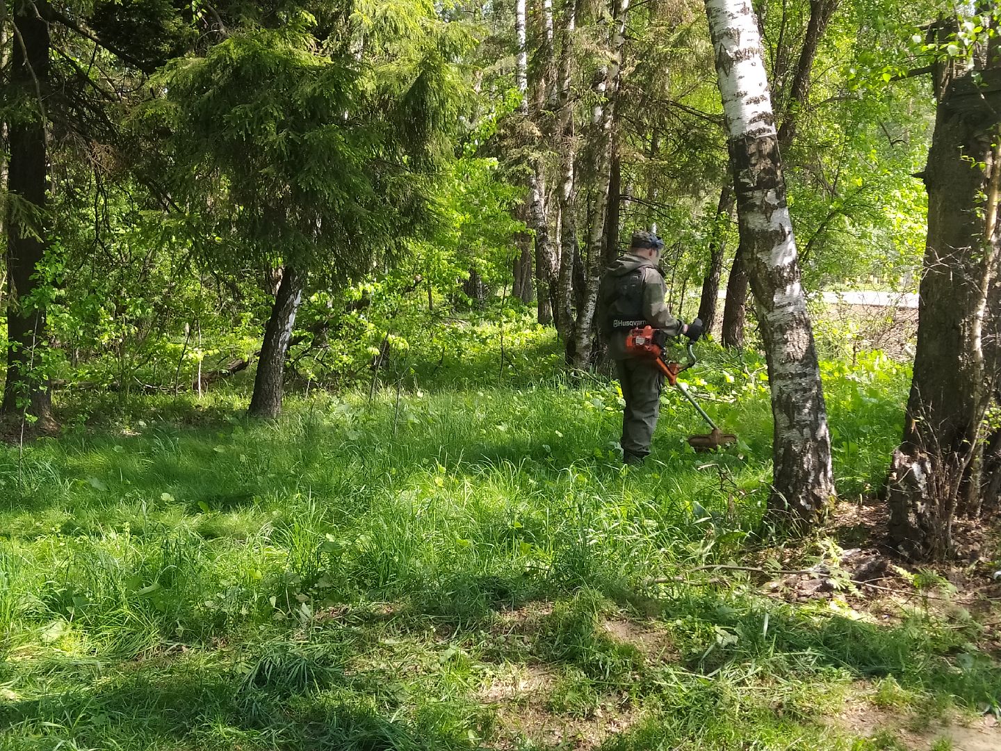 Покос травы, лесопарковая зона, газон, благоустройство